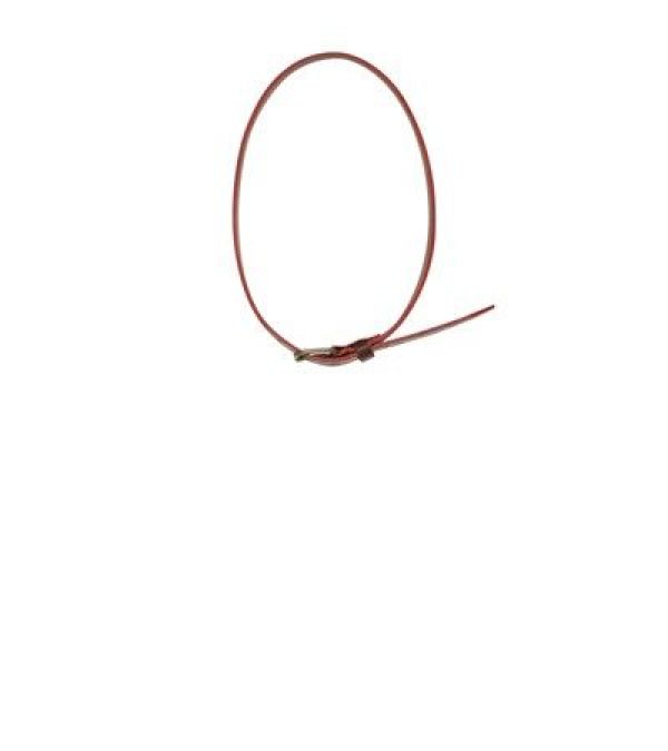 AO76 Riem Bruin jongens (Bono leather belt brown - 224-2992) - Victor & Camille Destelbergen