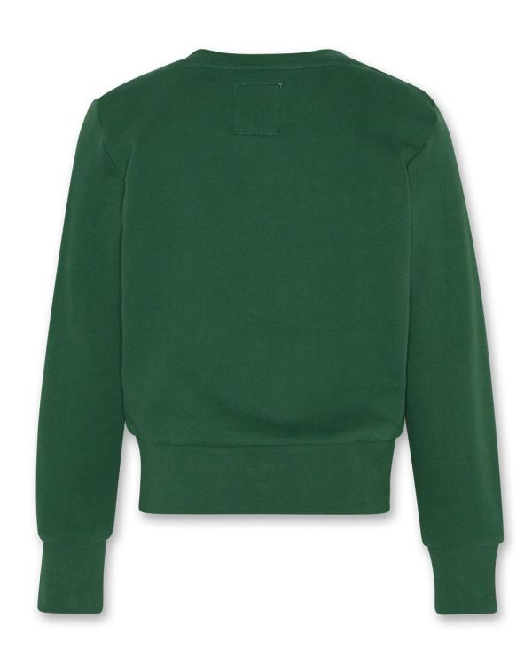 AO76 Sweater Groen meisjes (Lana c-neck sweater logo - 223-1110-651) - Victor & Camille Destelbergen