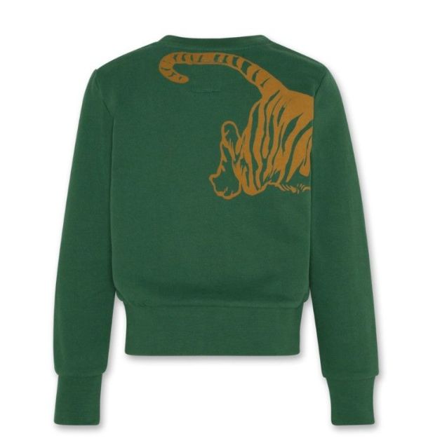 AO76 Sweater Groen meisjes (Lana c-neck sweater tijger - 223-1110-657) - Victor & Camille Destelbergen