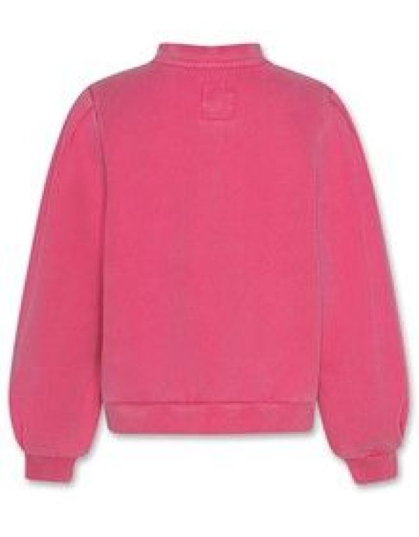 AO76 Sweater Roze meisjes (Loreen sweater horses - 224-1128-343) - Victor & Camille Destelbergen