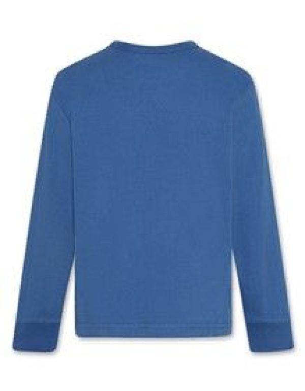 AO76 T-shirt l/s Blauw jongens (Lucas T-shirt jeep delft - 224-2045-108) - Victor & Camille Destelbergen