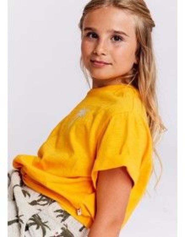AO76 T-shirt s/s Oranje meisjes (Maira T-shirt littlepalm sun orange - 124-1035-154) - Victor & Camille Destelbergen