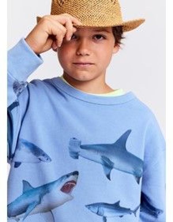 AO76 Sweater Blauw jongens (Oscar sweater sharks light blue - 124-2126-606) - Victor & Camille Destelbergen