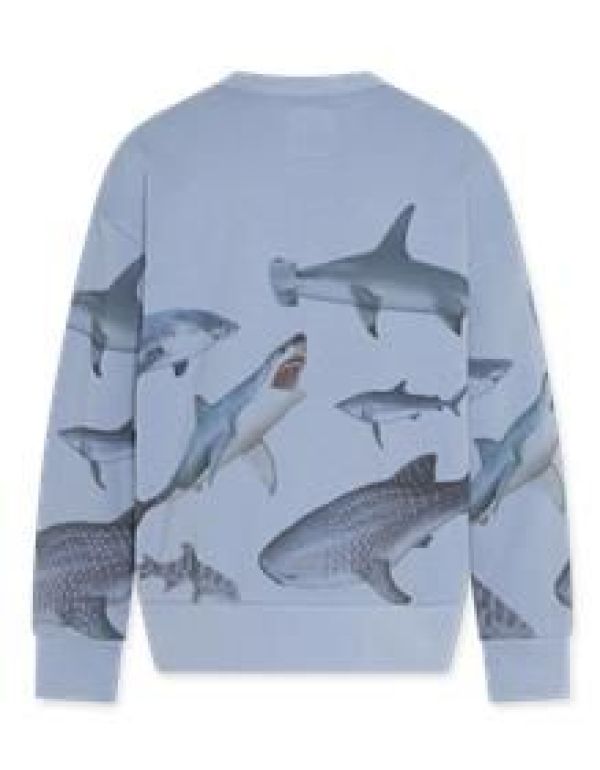 AO76 Sweater Blauw jongens (Oscar sweater sharks light blue - 124-2126-606) - Victor & Camille Destelbergen