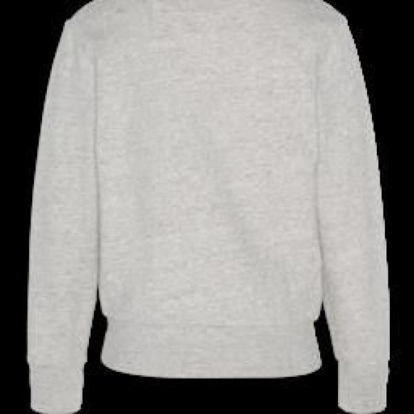 AO76 Sweater Grijs jongens (Sweater Dromedary grijs - 122-2110-657) - Victor & Camille Destelbergen