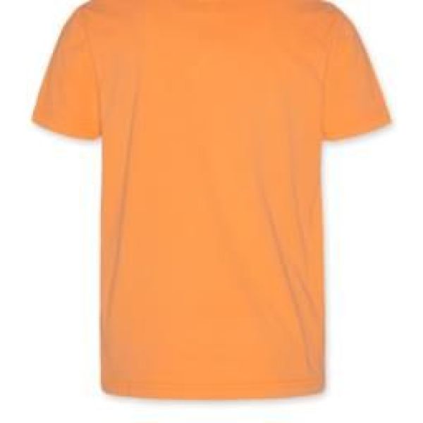 AO76 T-shirt s/s Oranje jongens (T-shirt Joke orange - 122-2000-205) - Victor & Camille Destelbergen