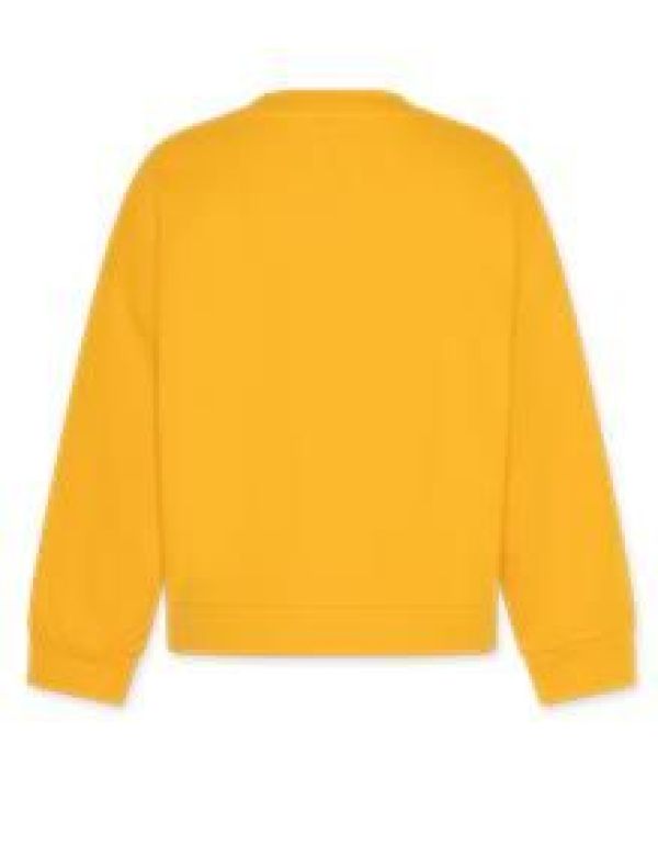 AO76 Sweater Oranje meisjes (Violetta sweater logo sun orange - 124-1123-600) - Victor & Camille Destelbergen