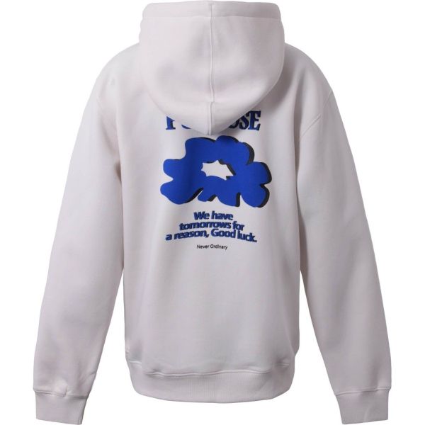 Hound Hoodie Wit jongens (Blue purpose hoodie w/print off white - 2240706) - Victor & Camille Destelbergen