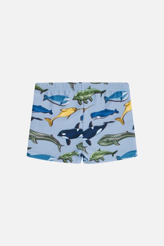 Hust & Claire Zwembroek Blauw jongens (Haki swim pants glacier - 332-391-44074) - Victor & Camille Destelbergen