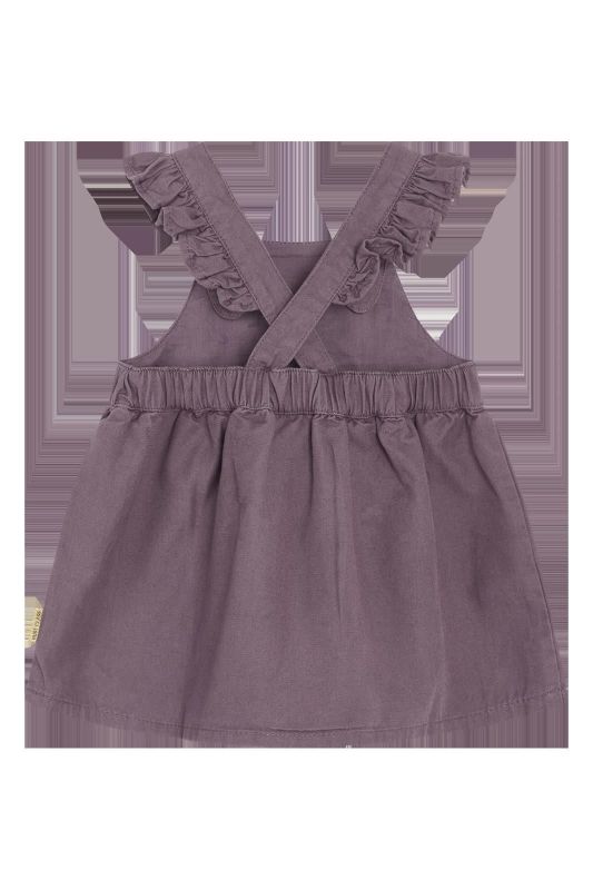 Hust & Claire Jurk Paars baby meisjes (Kjole dream dress dark plum - 345-00199-34182) - Victor & Camille Destelbergen