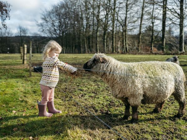 Hust & Claire Knitwear Ecru meisjes (Pani jumper wheat melange - 344-00193-19960) - Victor & Camille Destelbergen