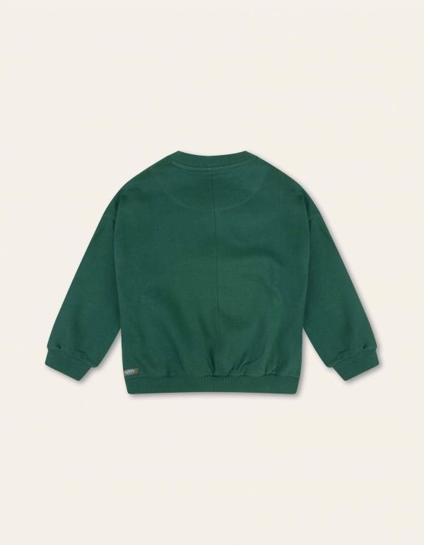 Oilily Sweater Groen meisjes (Harvey sweater 76 solid - YF24BHJ501) - Victor & Camille Destelbergen