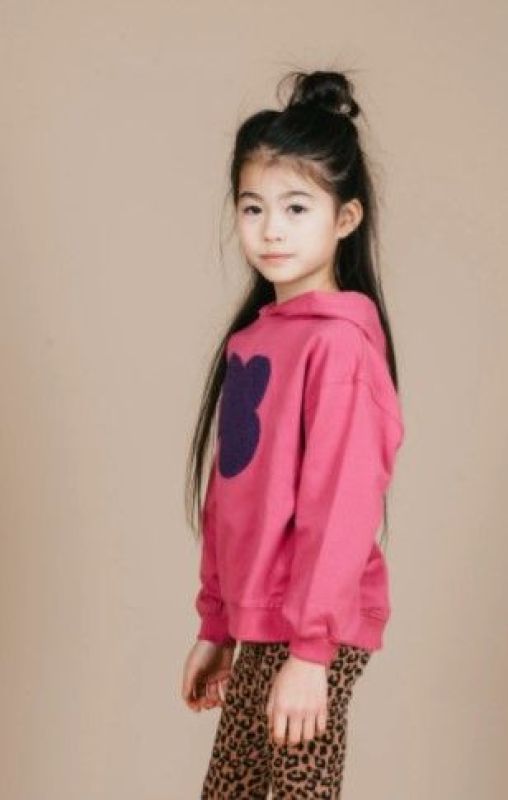 Petit Blush Hoodie Paars meisjes (Hooded sweater PB red violet - AW24-109) - Victor & Camille Destelbergen