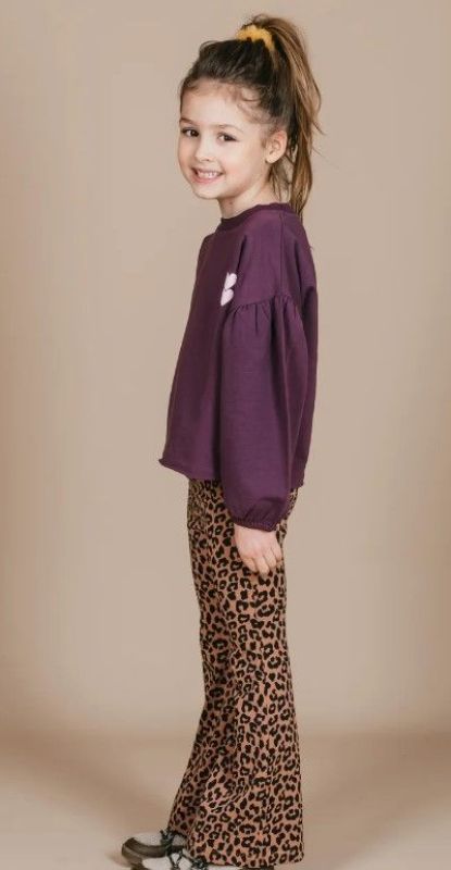 Petit Blush Sweater Paars meisjes (Lily Ballon sweater plum perfect - AW24-107) - Victor & Camille Destelbergen