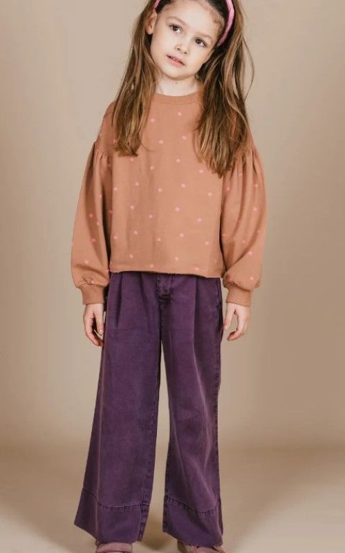 Petit Blush Broek Paars meisjes (Wide leg pants plum perfect - AW24-609) - Victor & Camille Destelbergen